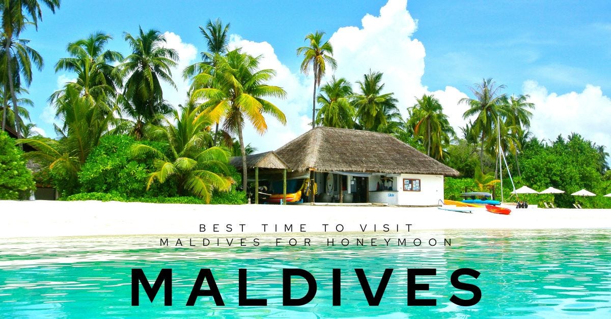 Why is Queenstown New Zealand so Popular? by Ava Aug, 2024 Medium