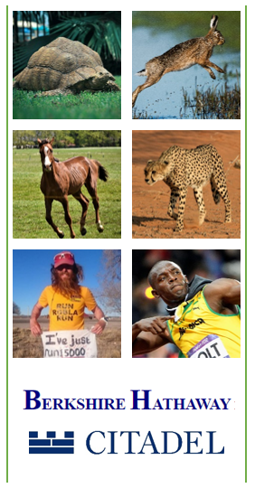 Image Grid to Draw Analogy of Contrast: Tortoise to Hare, Horse to Cheetah, Pope to Bolt, Berkshire Hathaway to Citadel