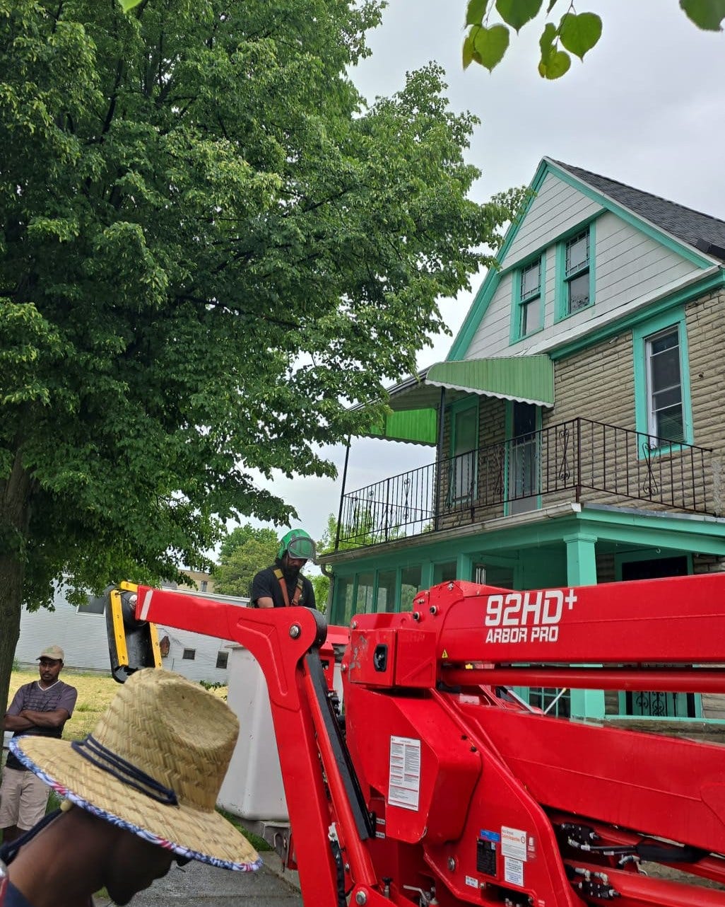 Professional Tree Removal Service in Syracuse, NY by KD Tree KD Tree