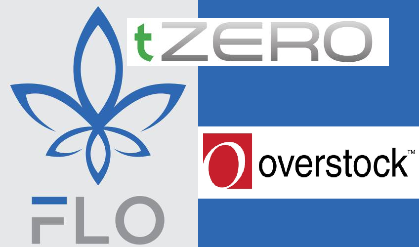 FLO and the Open Index Protocol (OIP) | by Reviken | DataDrivenInvestor