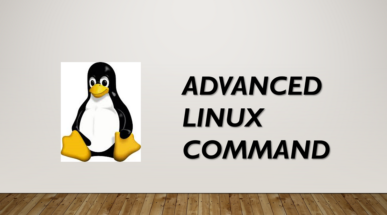 Beginner's Guide to Essential Linux Commands | Master Terminal Skills ...
