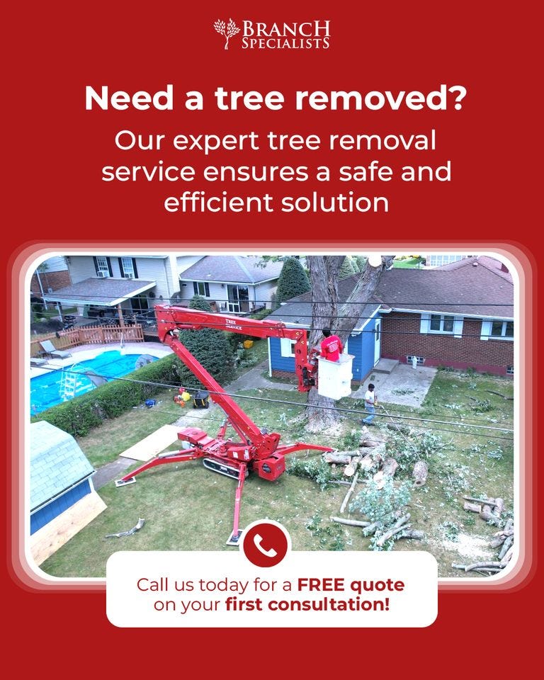 Tree Training Everything You Should Know About It! by Branch