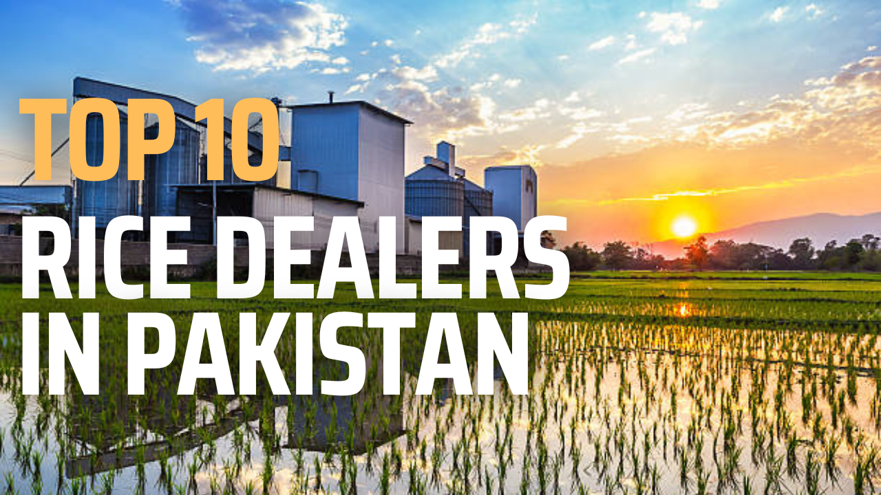 Top 10 Basmati Rice Export Companies in the World by Farman Rind