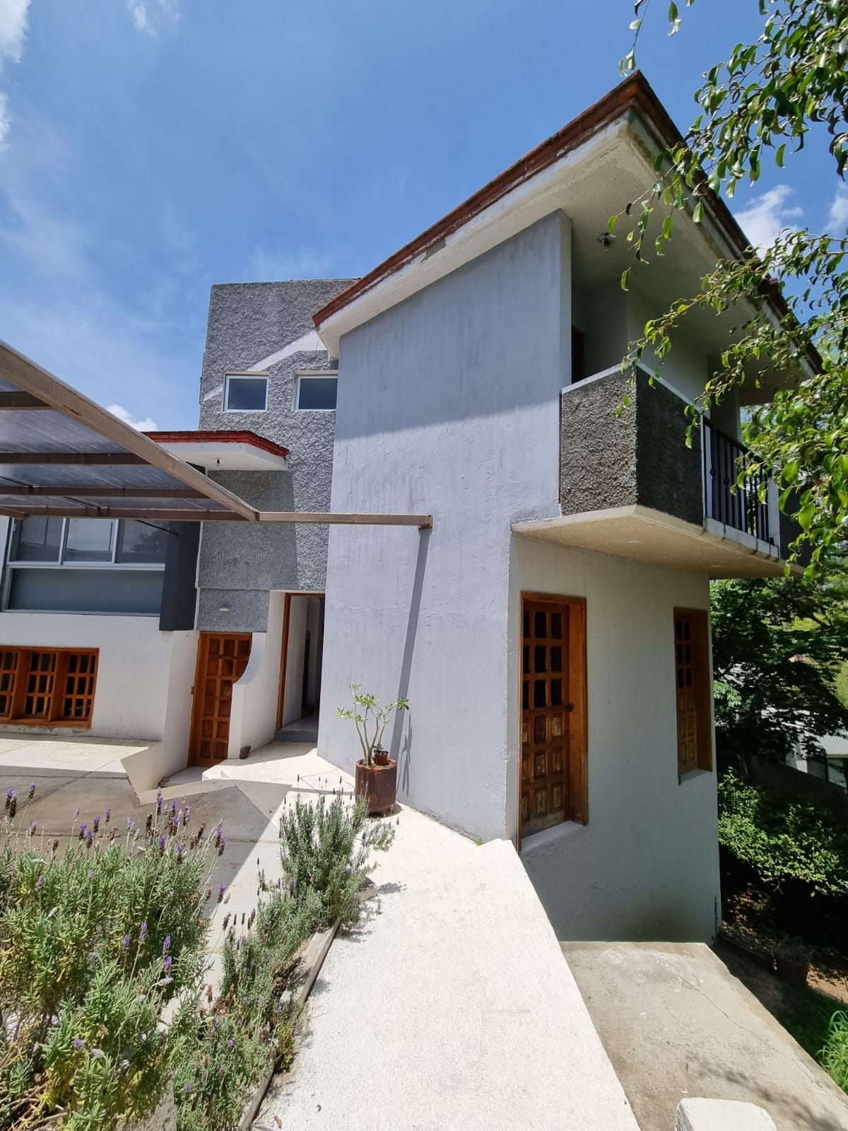 Discover Your Dream Home for Rent in Oaxaca Your Gateway to Mexican Paradise by
