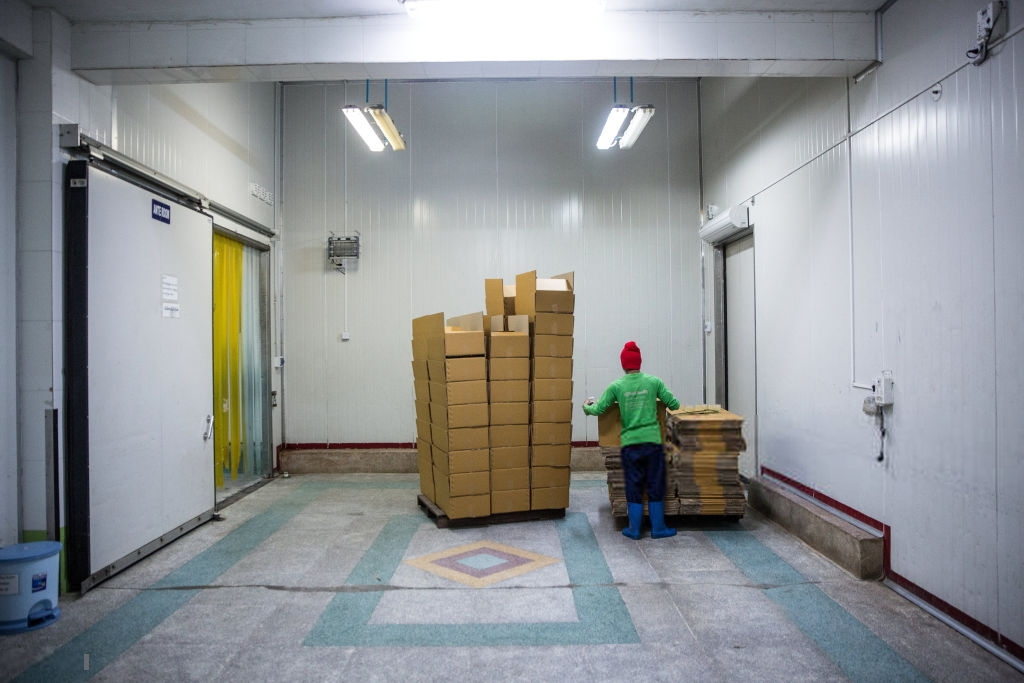 Cold Storage Warehouse as a Temperature Controlled Buildings ...