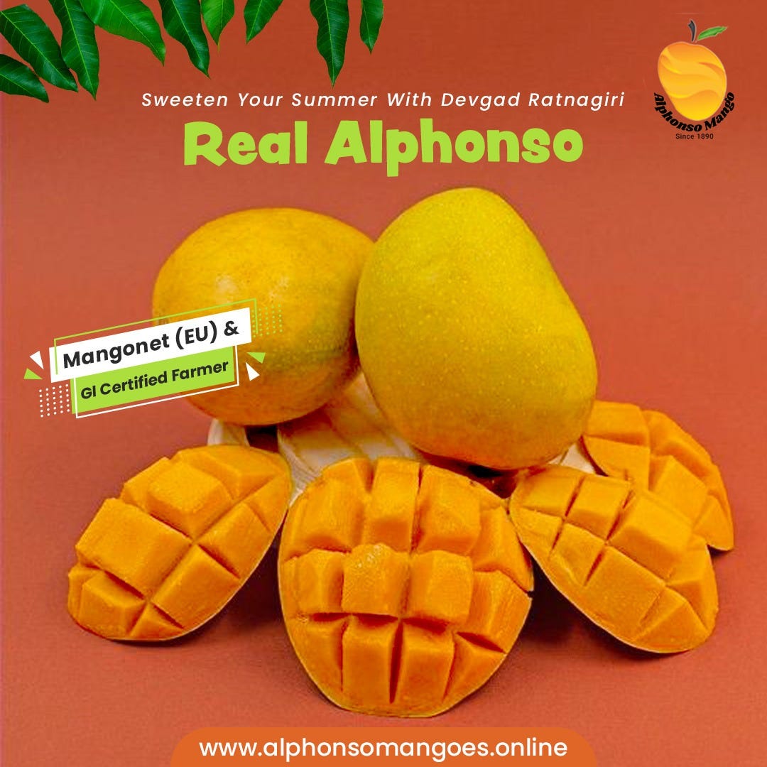 Ratnagiri Alphonso Mango Taste Heavenly Sweetness of Mango by