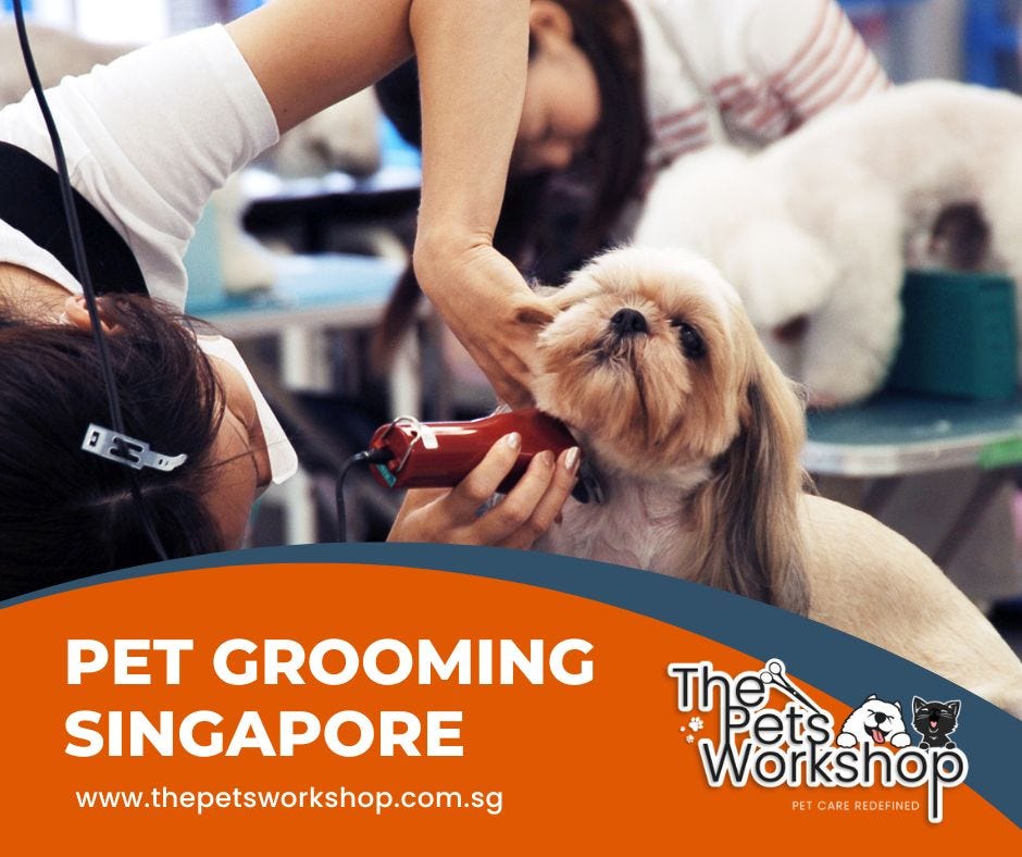 Make grooming a regular part of your pet care routine — The Pets