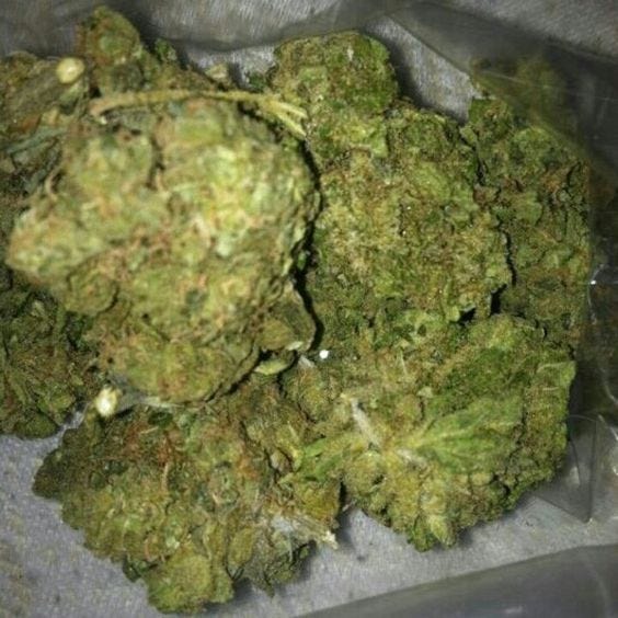 Weed for sale. Buy Marijuana Online by Jack Dispensary Medium