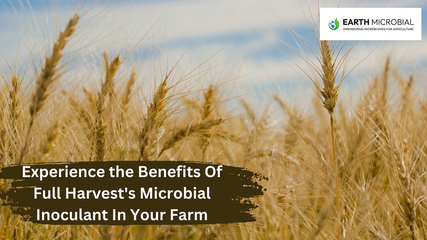 Harnessing the Power of Microbes Innovative Approach to Microbial