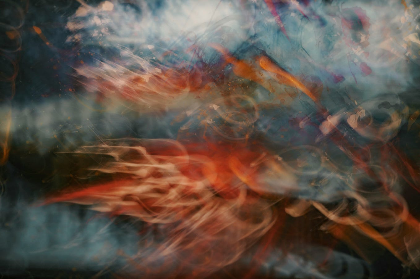 Falling Leaves and their Veins of Knowing by Viola Weng Scuzzbucket