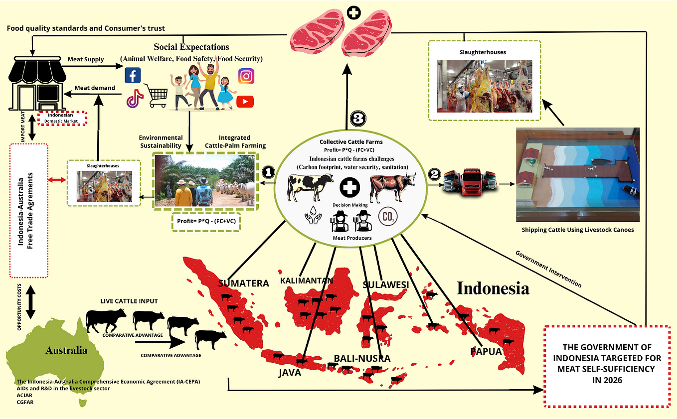 Sri Lanka's organic farming disaster, explained - Vox