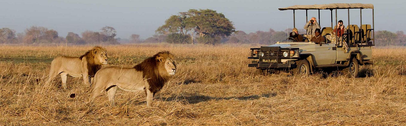 Best filming locations in Kruger national park and Tsavo national park ...