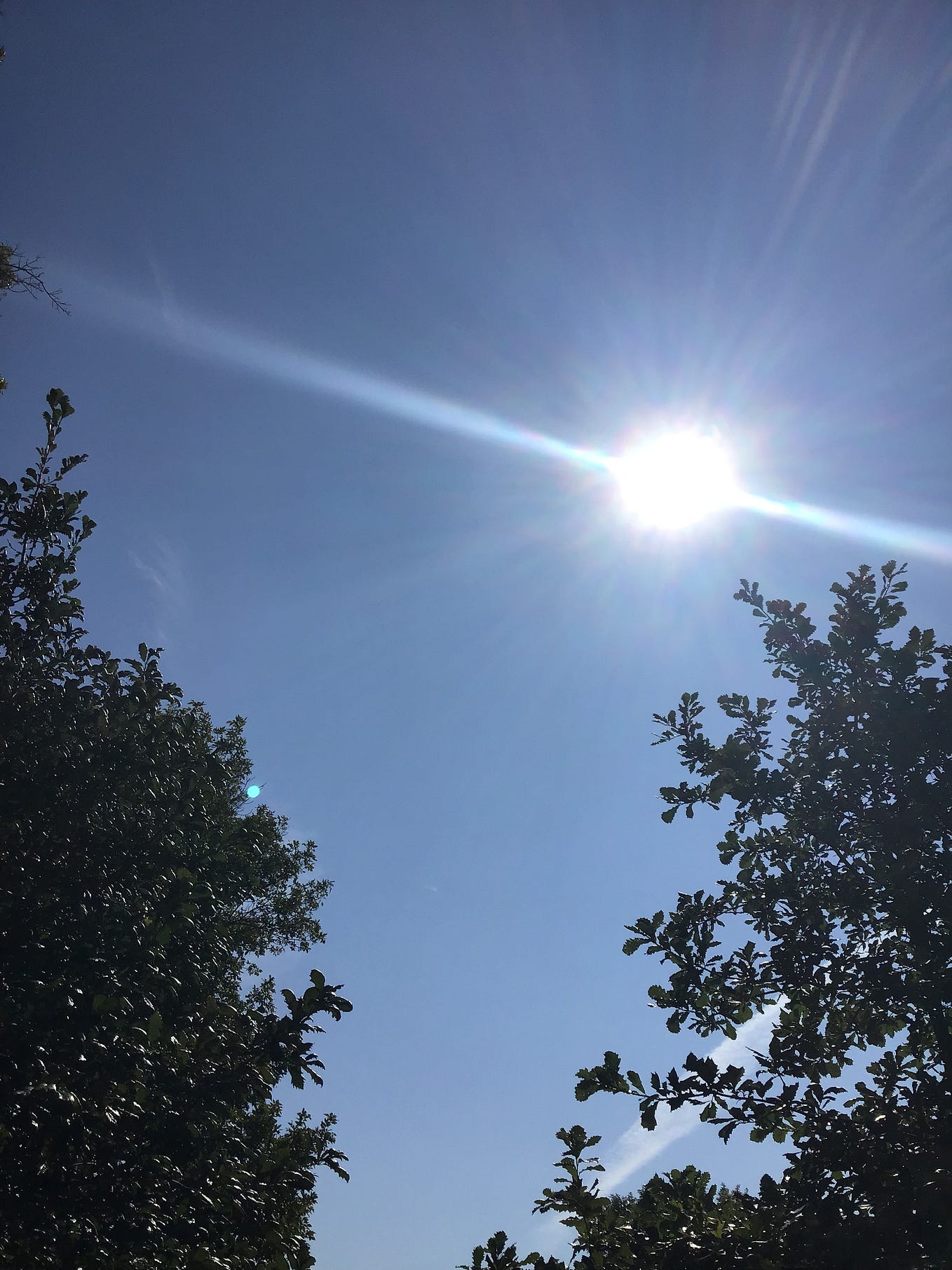 The author has a right to his opinion, just like you do. If you don't