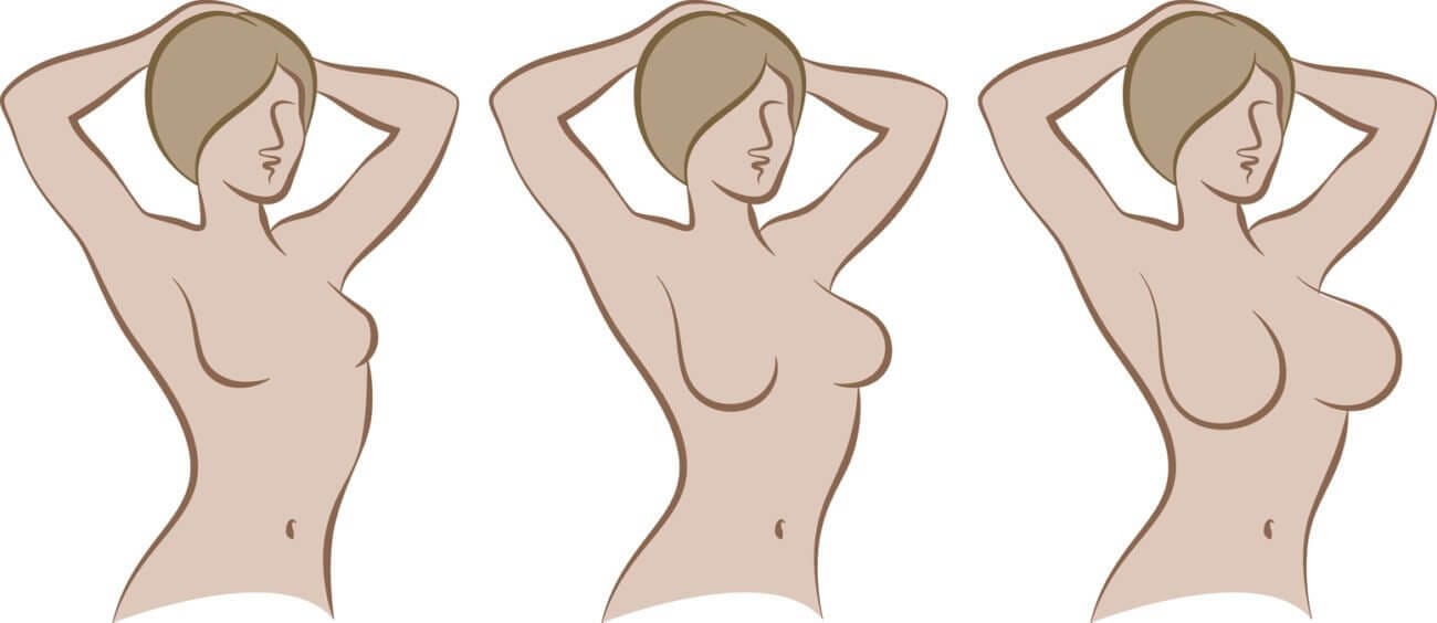 B Cup Size Ultimate Guide: What B Cup Breasts Look Like [2023