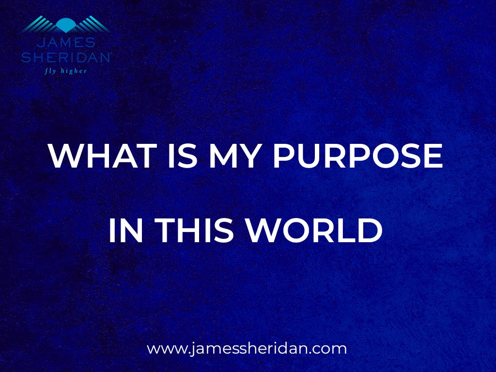 What is your purpose in life answer and how to find it james
