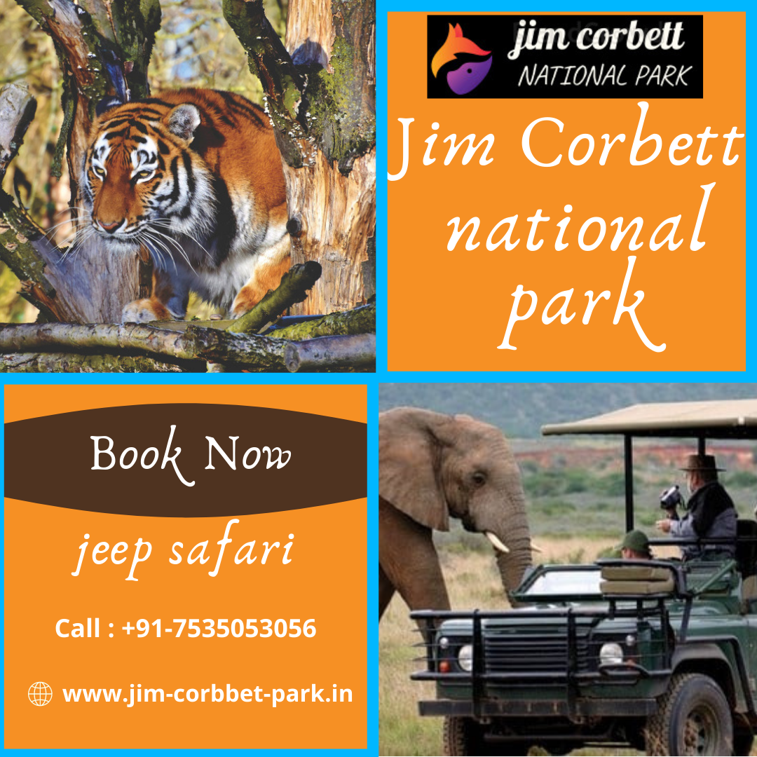Jim Corbett National Park Jungle Safari Online Booking Jim Corbett