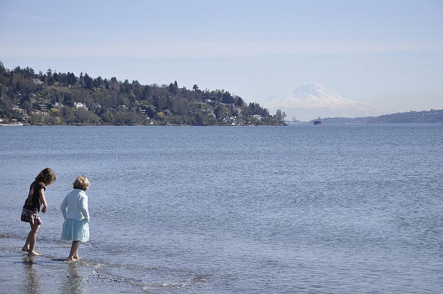 Join us on 4/13 — Learn about Sewage in the Sound and the West Point Wastewater Disaster