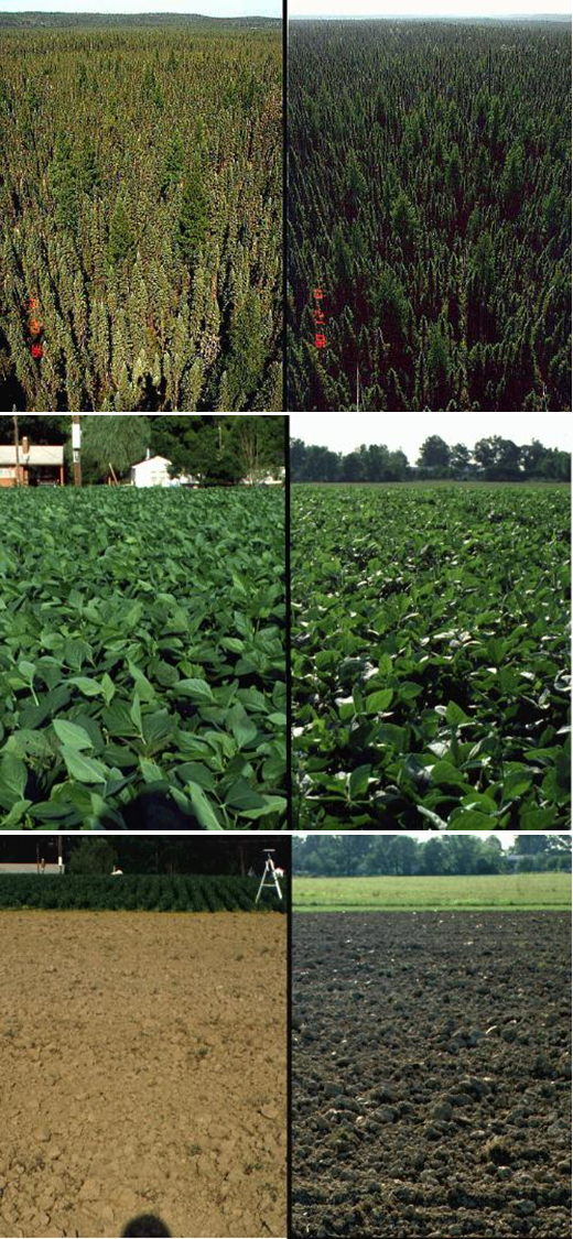 Animated Geometric Patterns. Having Fun with Math and Python’s… | by ...