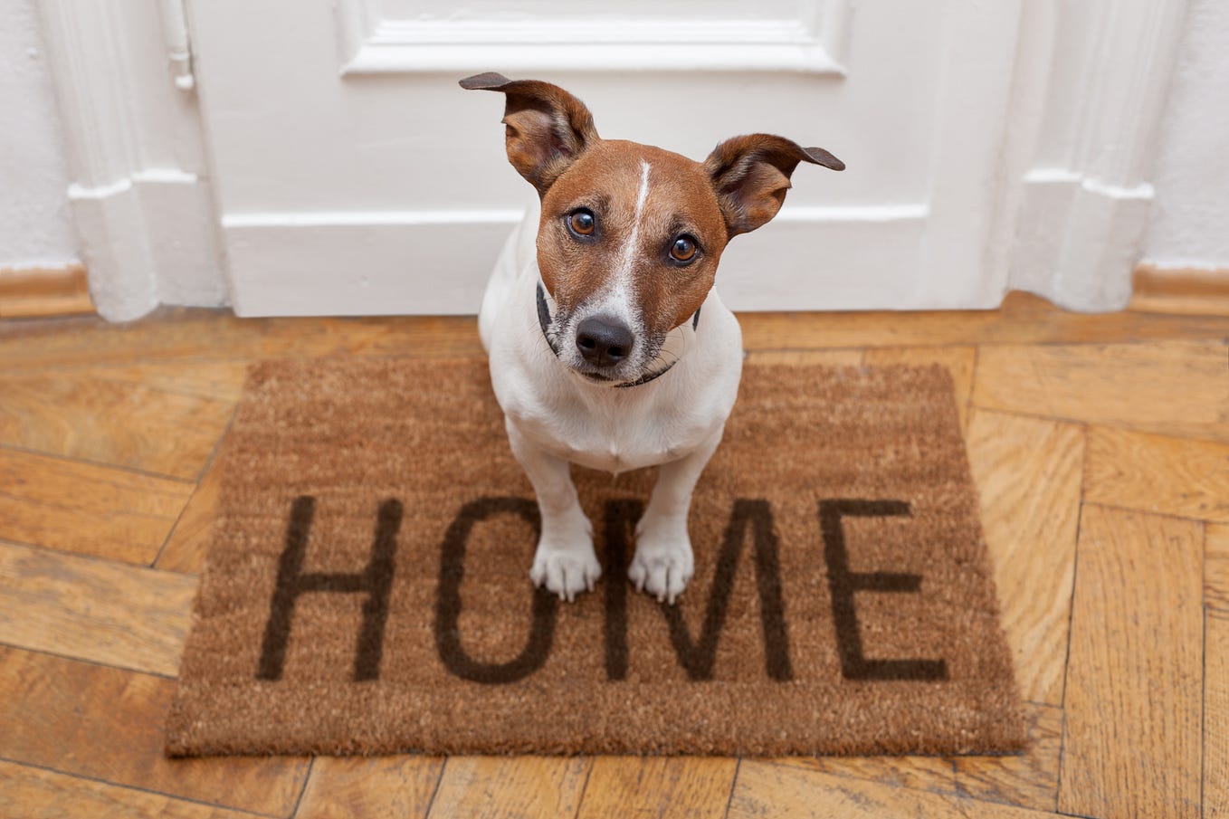 How We Built VIVIS Value The AIPowered Instant Property Appraisal