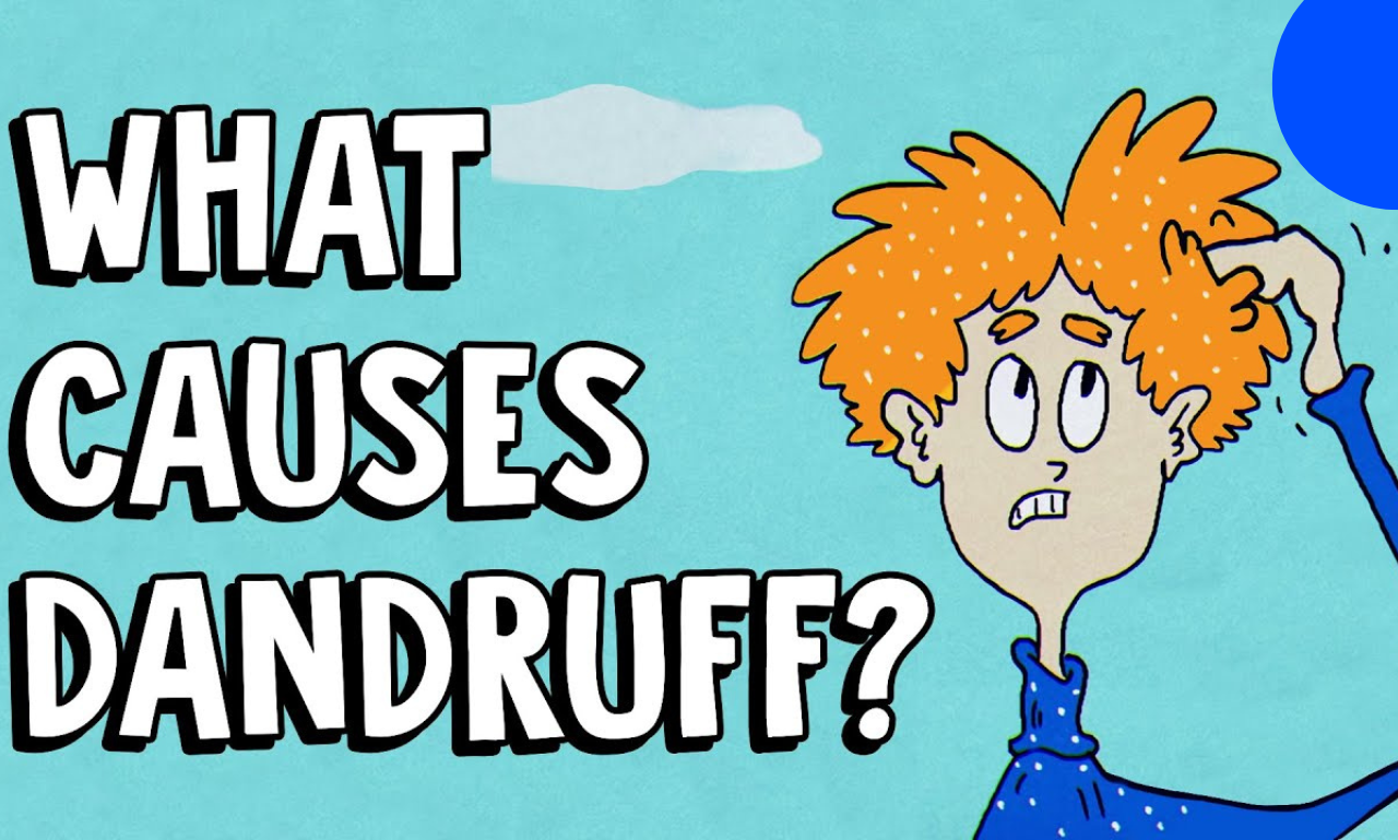 Why Can’t You Divide By Zero?. In the domain of arithmetic, we… by Shehzeen Younus Short