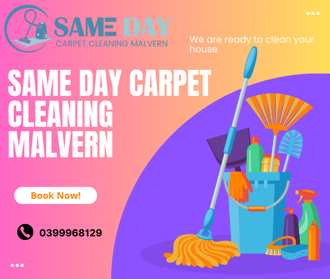 Same Day Carpet Cleaning Wheelers Hill A Deep Dive into Expert