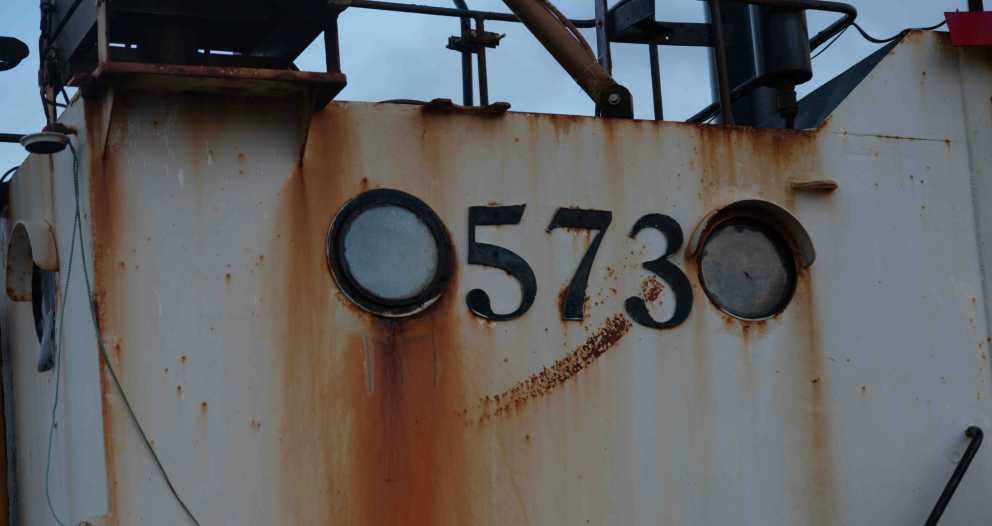 Best Practices to Look for in a Marine Survey Report by Tim Oct