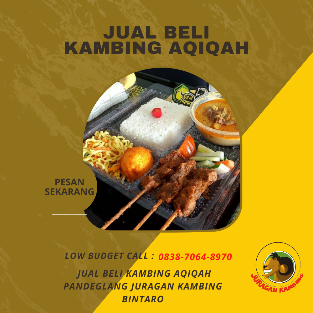 low-budget-call-0838-7064-8970-jual-beli-kambing-aqiqah-bayah-juragan