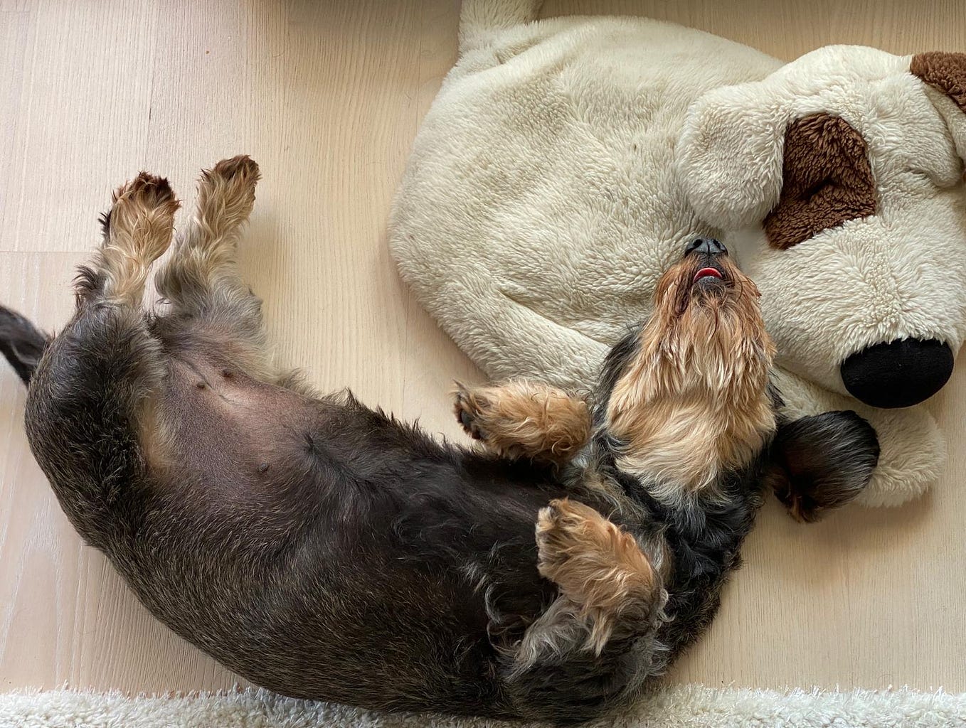 Easily understand what is Confidence Intervals by smrati katiyar