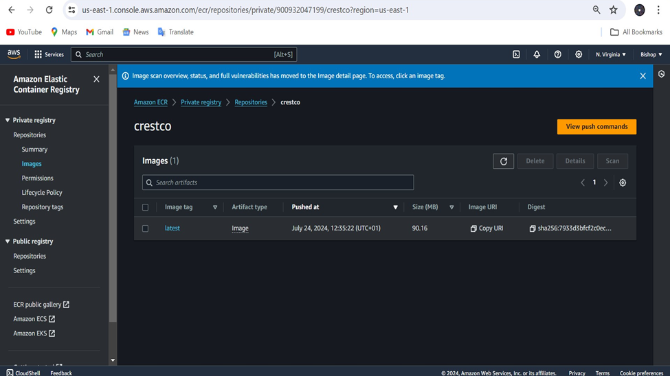 Docker Create Container