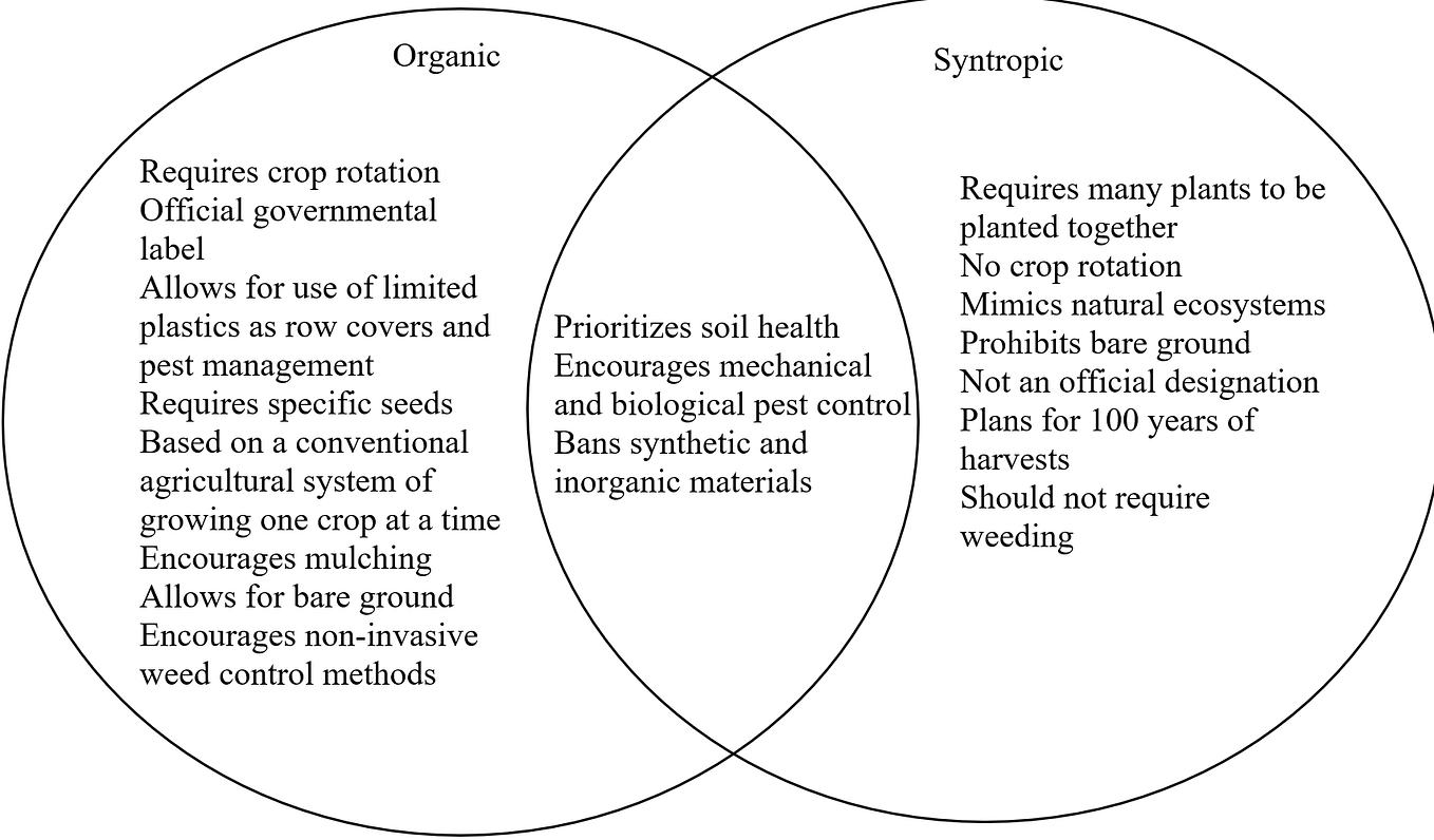 Syntropic Agriculture: Putting It All Together a.k.a. A Planting Guide ...