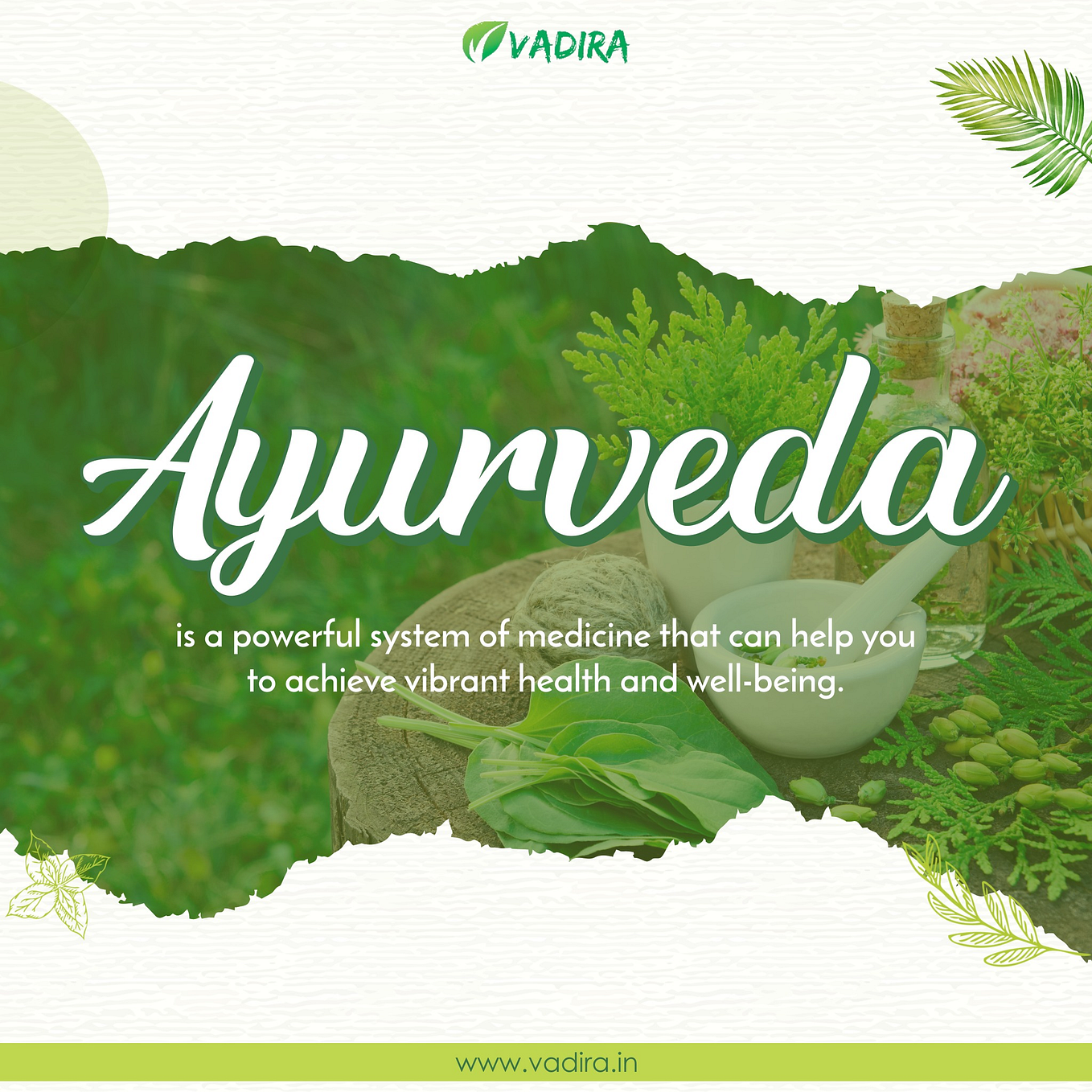 The Benefits of Ayurvedic Medicines A Holistic Approach to Healing
