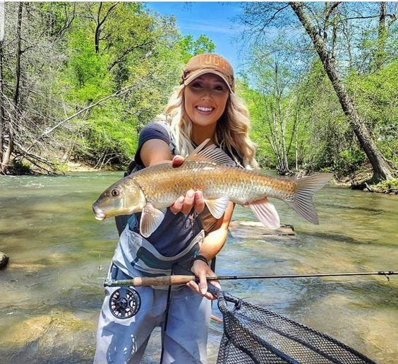 Can Trout See Fishing Line? Red, Yellow, Green…