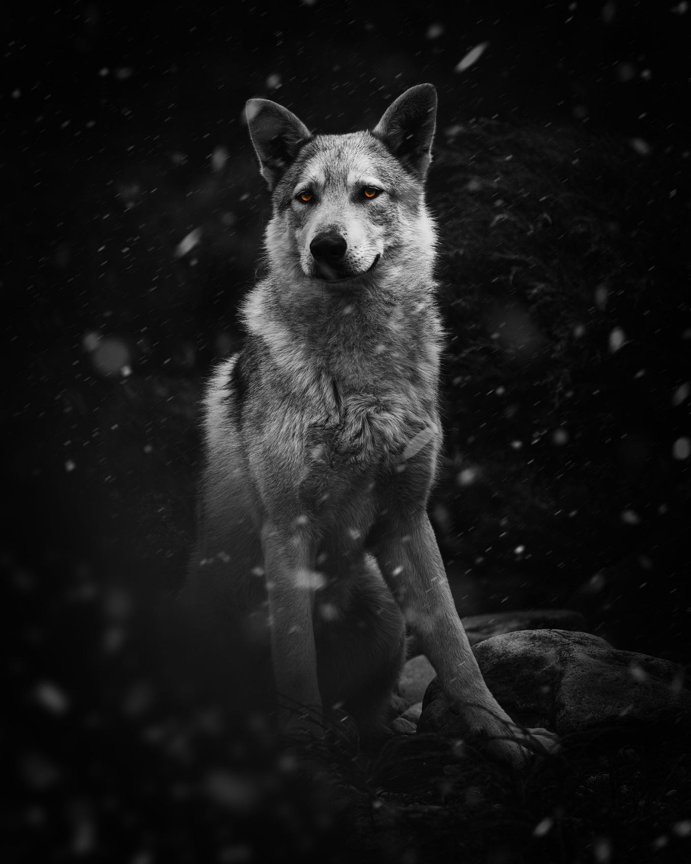 The Andeemind Leak: A New Chapter Begins - nkla3s8