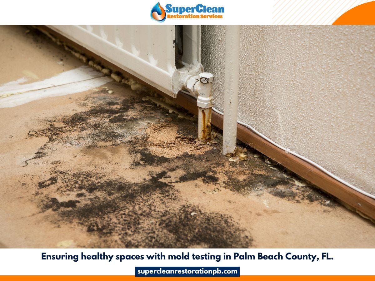 Mold Removal Company — Wellington, Florida by SuperClean Restoration