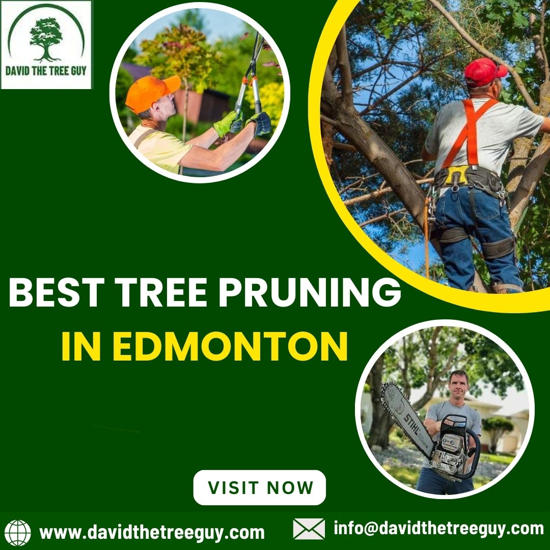 Best Stump Grinding in Edmonton David The Tree Guy Medium