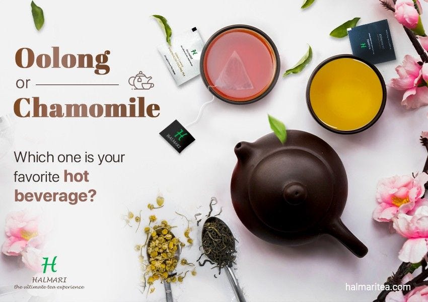 Which One to Choose Between Oolong Tea and Chamomile Tea?