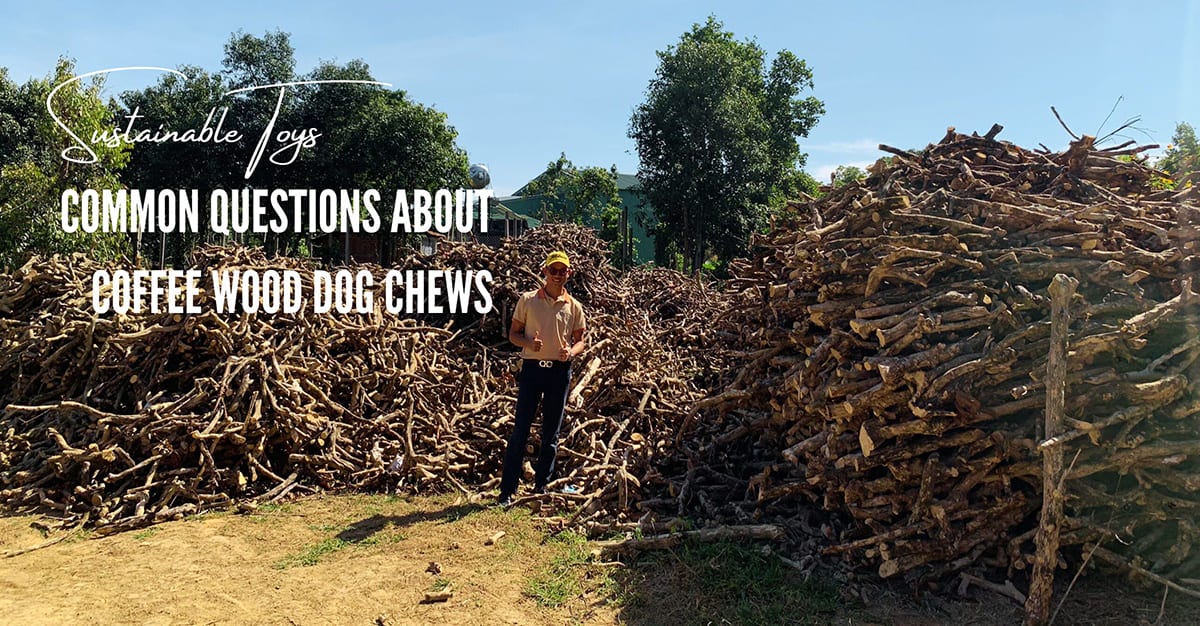 A Perfect Match The Natural Benefits of Coffee Wood and Cotton Rope Chews for Your Dogs by