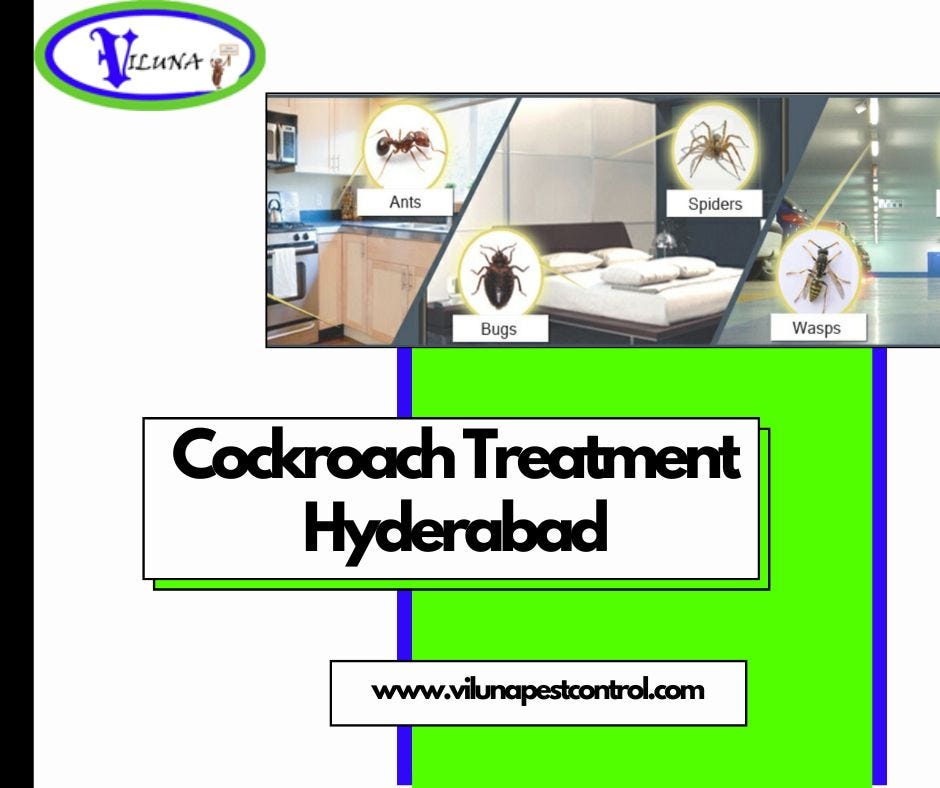 EcoFriendly Termite Control Solutions in Hyderabad Viluna Pest