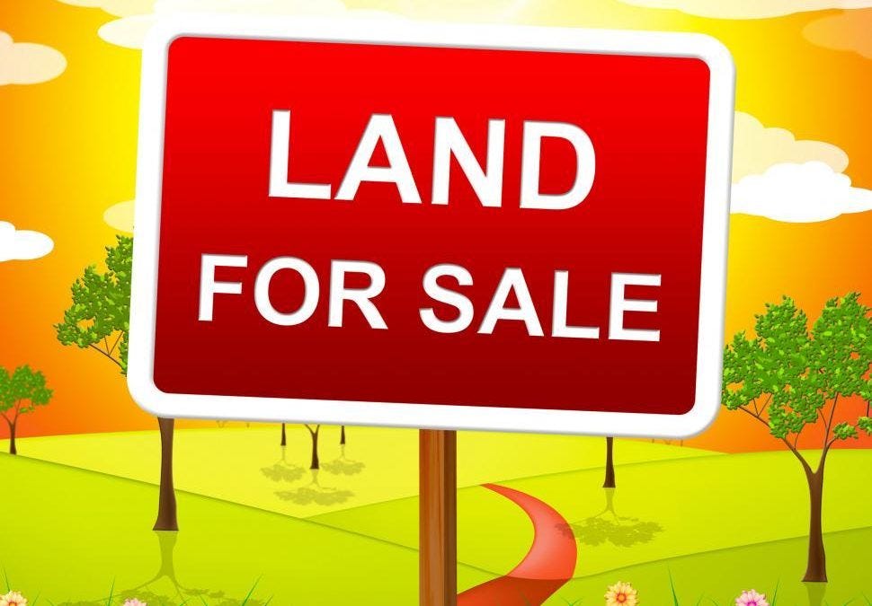 How to Sell Land Fast Strategies for Quick Transactions and Finding Affordable Land in Texas