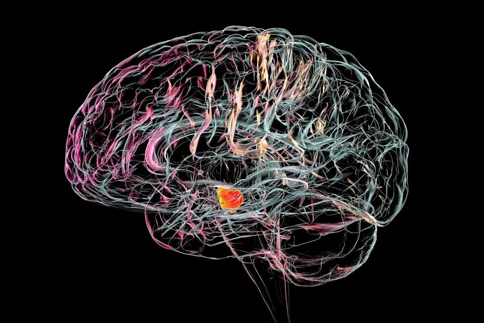 Novel Approaches To Treat Parkinson’s Disease May Signal A Turning Point