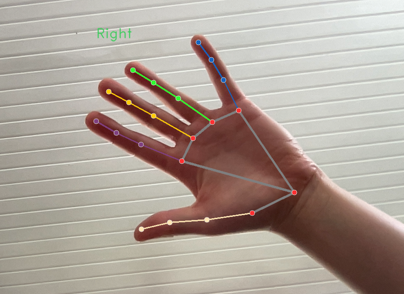 Surface area calculator using OpenCV | by Elyes DER | Becoming Human ...