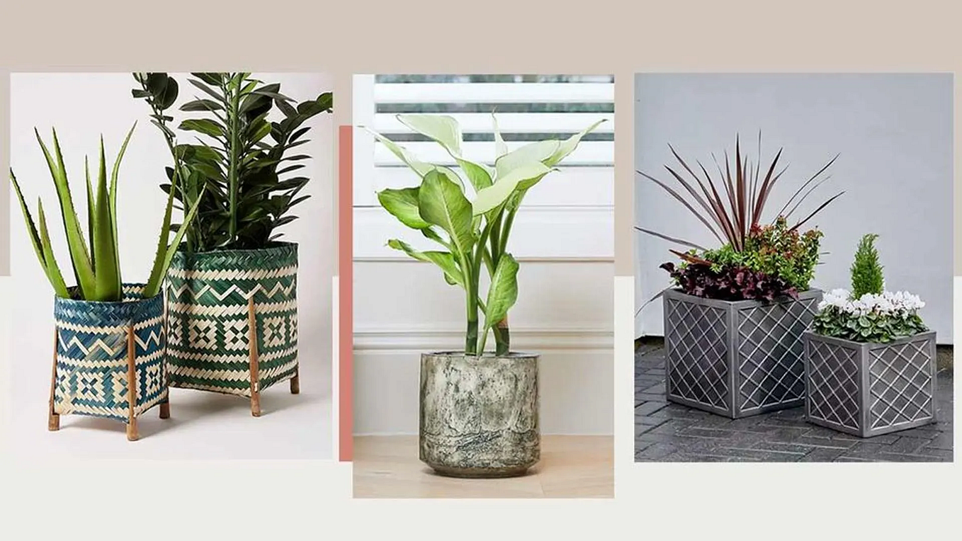Elevating Interior Spaces with Homebase Indoor Plant Pots by Love