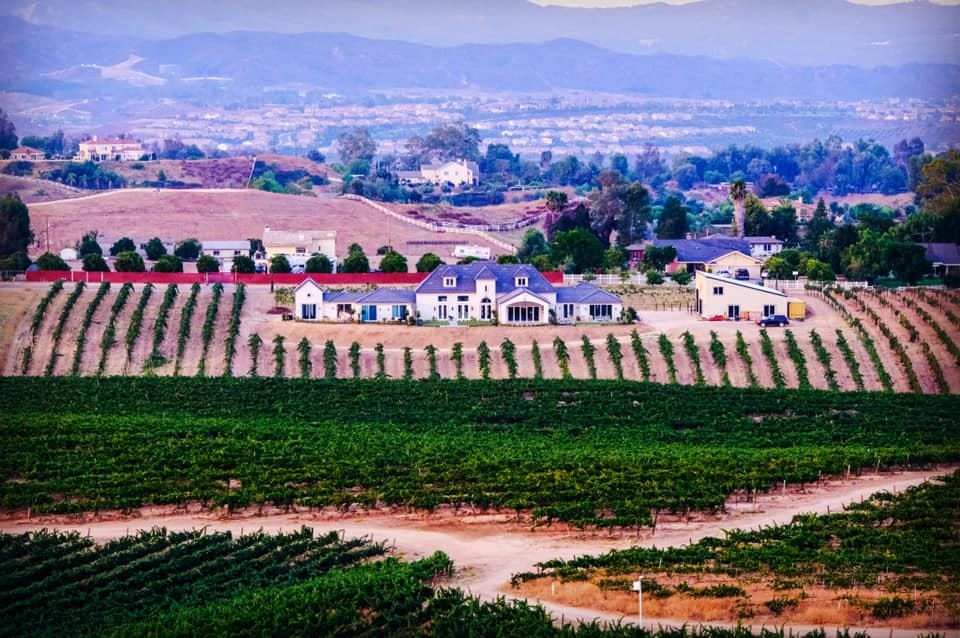 A Quick Guide to Its Finest in Temecula Wine Country