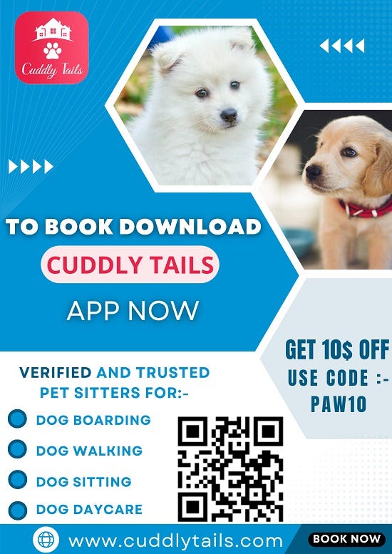 Best dog daycare services in Salem, OR Cuddlytails Cuddlytails Medium