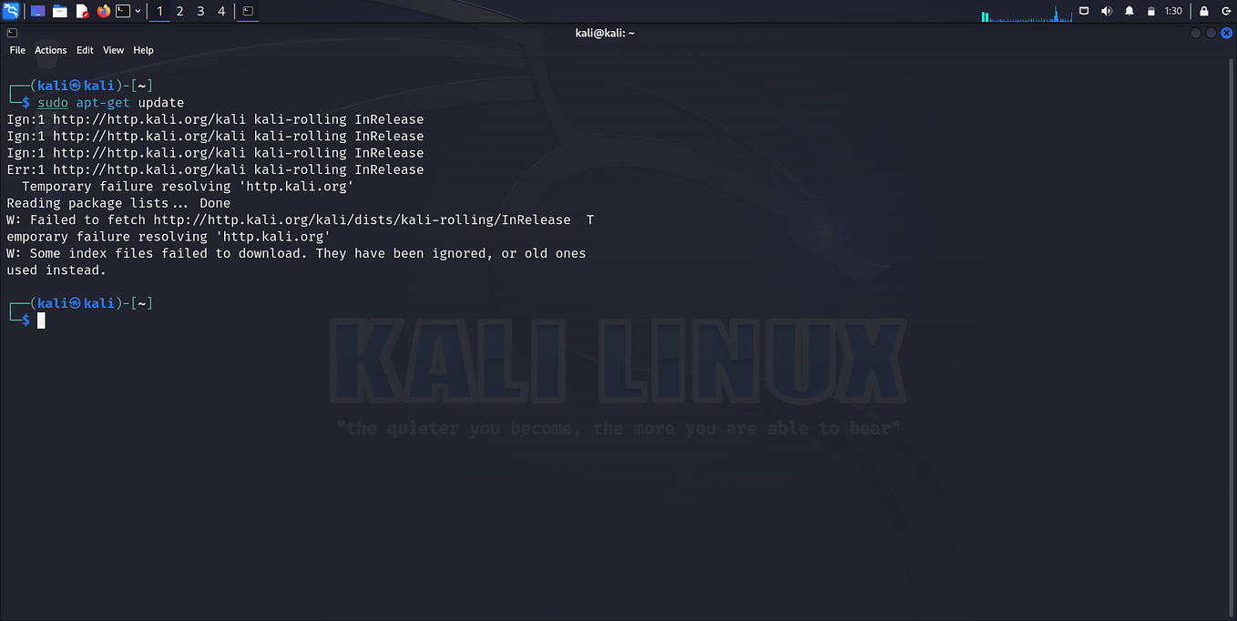 Kali Linux Bridge Connection Is Not Working In VMware Workstation Pro