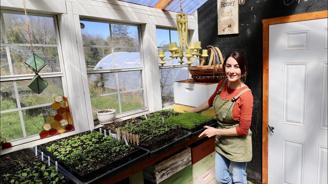Add These 10 Mangets To Your Medicinal Garden Kit Review