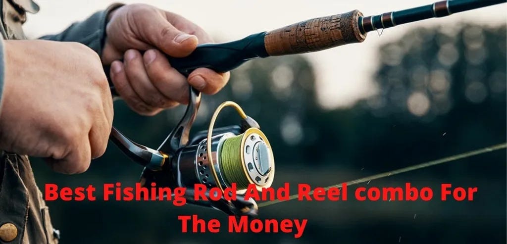 Such a beautiful custom japanese rod. These gold and red colorway. 🔥🔥🔥 :  r/Fishing_Gear