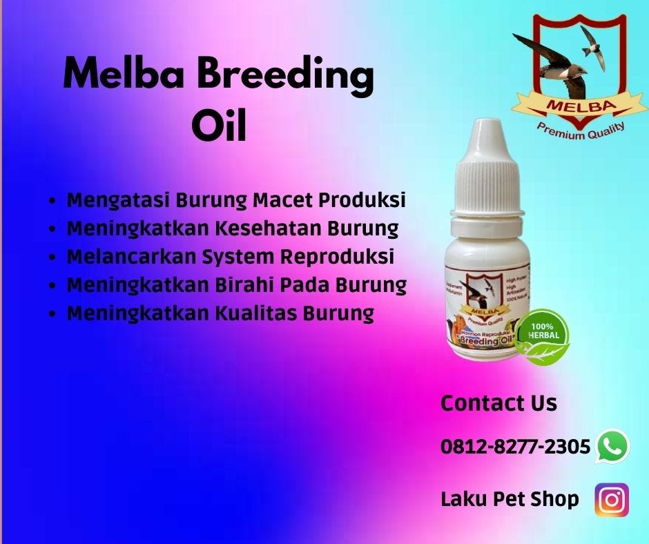 TERLARIS, Call 0812–8277–2305, Vitamin Burung Kacer Melba Laku Petshop ...