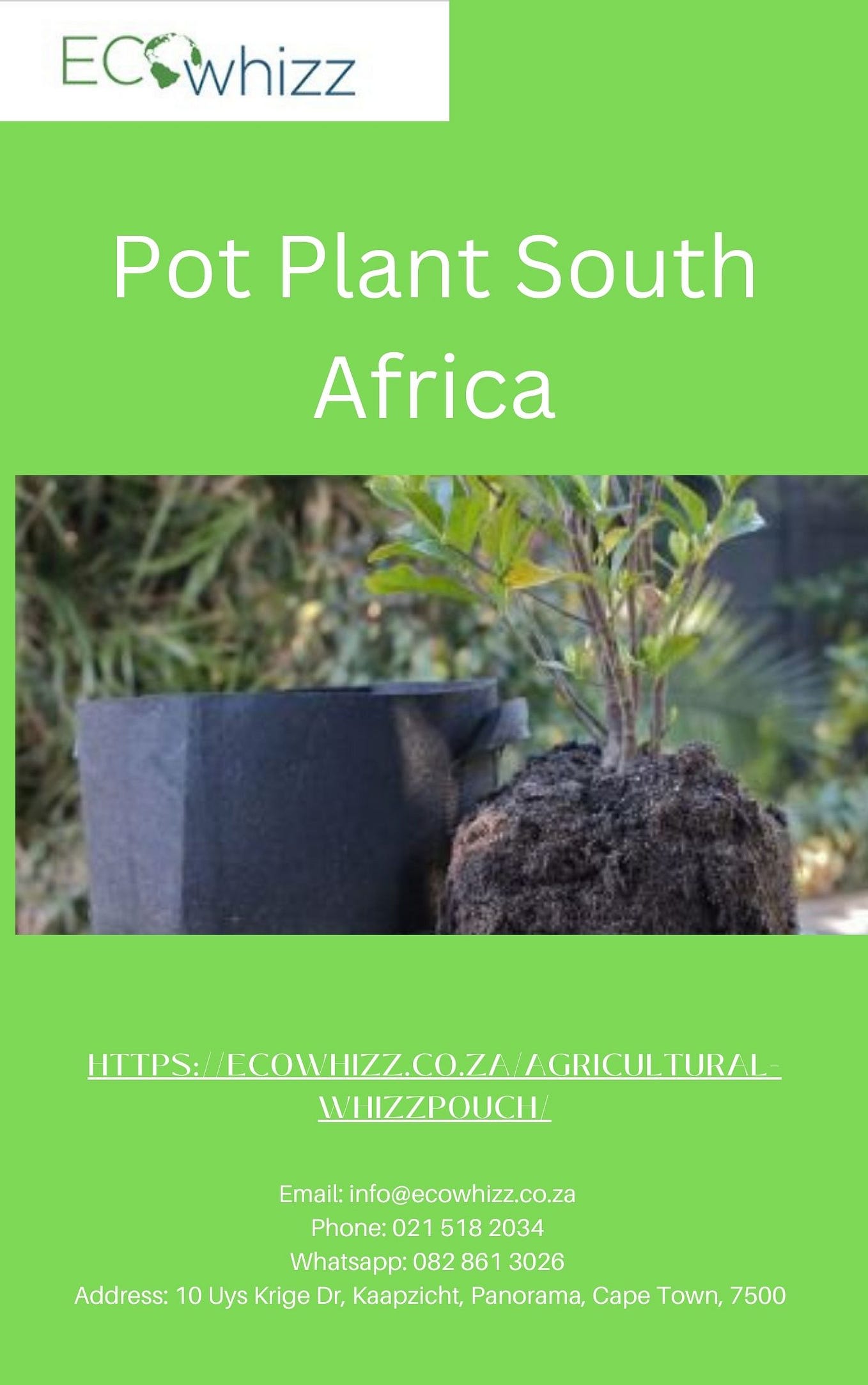 Pot plants South Africa ! Eco Whizz The health and development of your