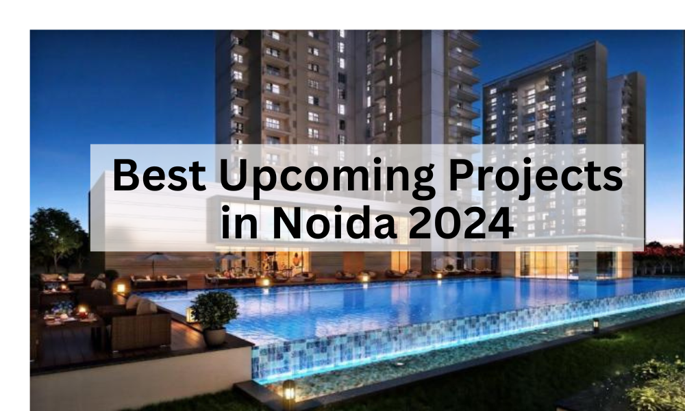 Best Real Estate Consultant in Noida Star Estate by Afira Rehman
